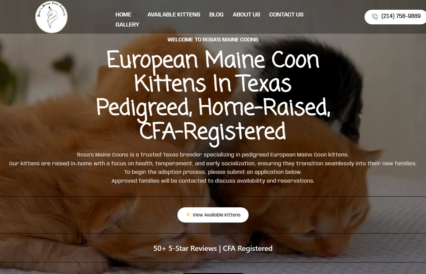 Rosa's Maine Coons website built by Cavenaugh Media